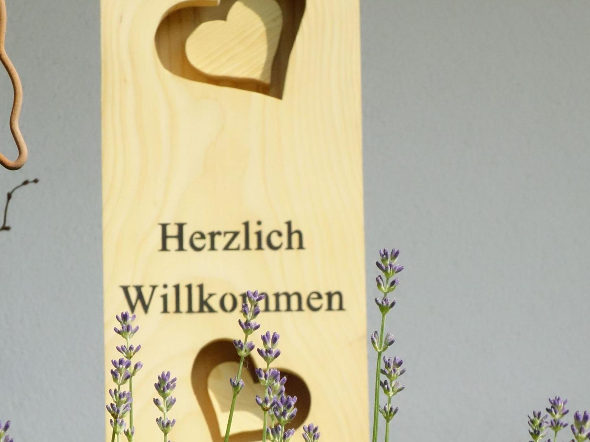 Ferienwohnungen Braun Seelbach  Kültér fotó